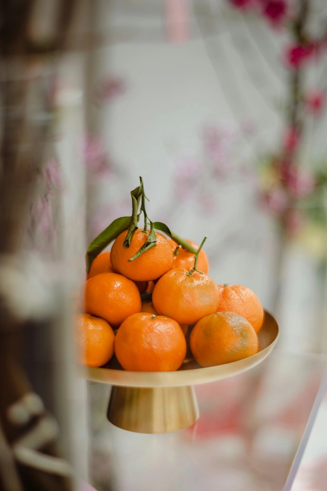 抗氧化跟抗老有什麼關係？自由基、糖化與日常防護策略